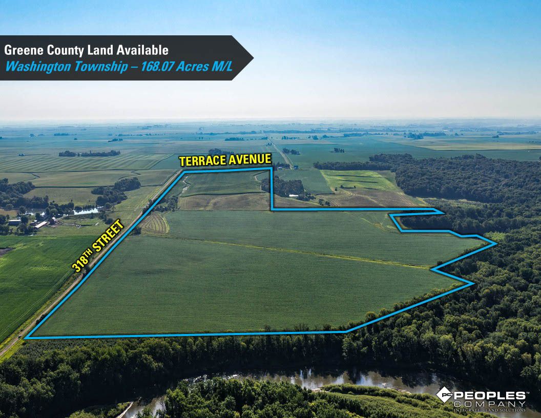 Listing Photo: Greene-County-Land-Available-168-Acres-19616 (1)